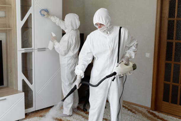 24/7 Emergency Odor Removal experts in Brownsville, TX