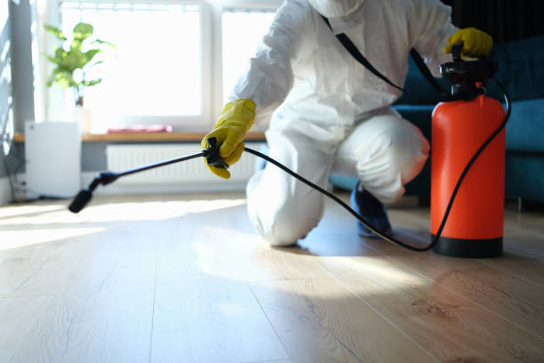 Reliable Odor Removal contractor in Brownsville, TX by Trauma Clean Pros
